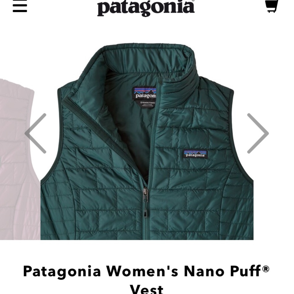 Patagonia vest - green/blue